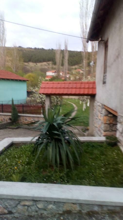 Guest House Green View Pirot Luaran gambar